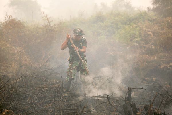 indonesia forest fire