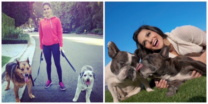 Sunny Leone Slams Kerala Government For Killing Stray Dogs In A Bid To  'Boost Tourism'