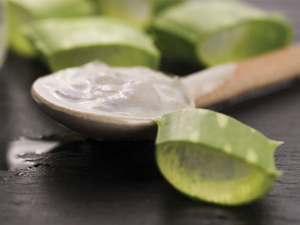 28 Reasons Why Aloe Vera Juice Should Be A Part Of Your Everyday Diet 0557