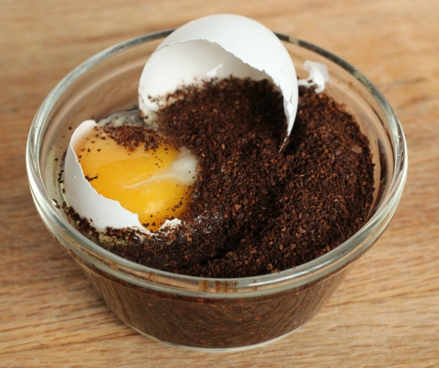 coffee and eggs