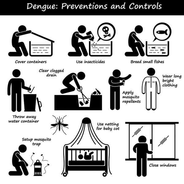 Dengue Mosquitoes Can Bite In The Night If The Lights Are On