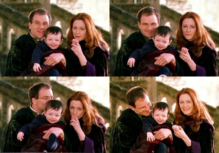 Potter family