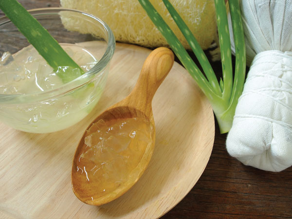 30 Reasons Why Should Drink Aloe Vera Juice Daily