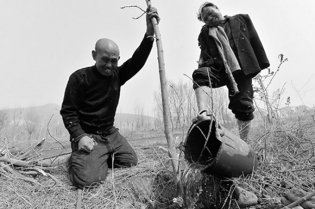 two friends planting trees