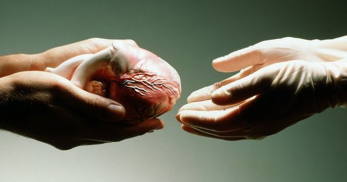 Heart Retrieved In Pune To Give Delhi Man New Lease Of Life