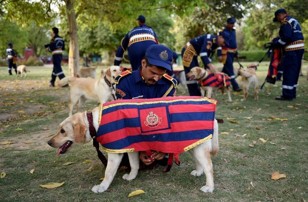 Delhi police dog squad