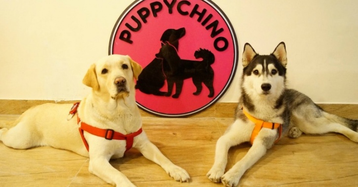 Dog Cafe mascots