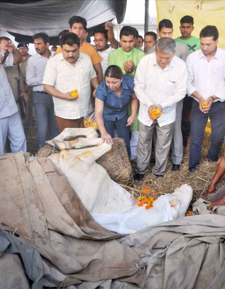 Shaktiman's Rider Is Inconsolable After His 'Friend's' Death, Says They