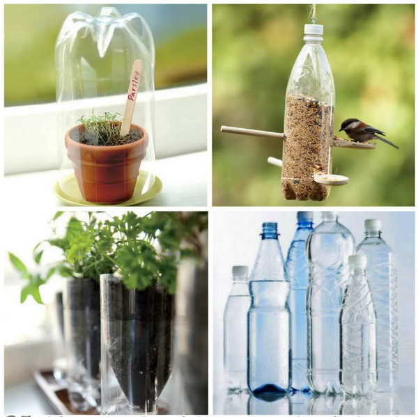 plastic bottle recycle