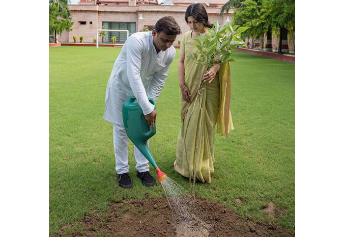 UttarPradesh Plantation