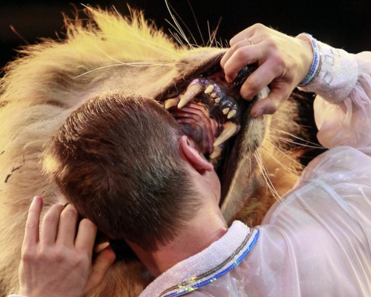 Man put his head in lion mouth