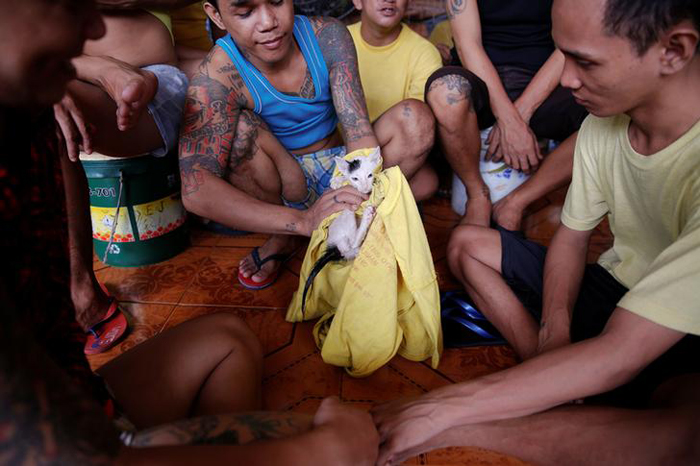 Inmates play with a cat at Quezon City Jail in Manila