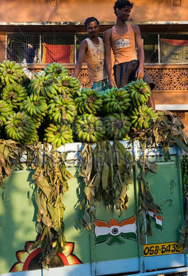 Odisha bananas