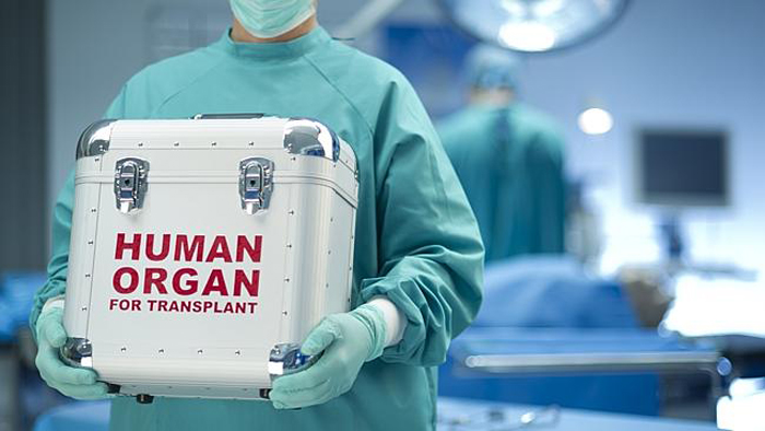 Organs Transplant