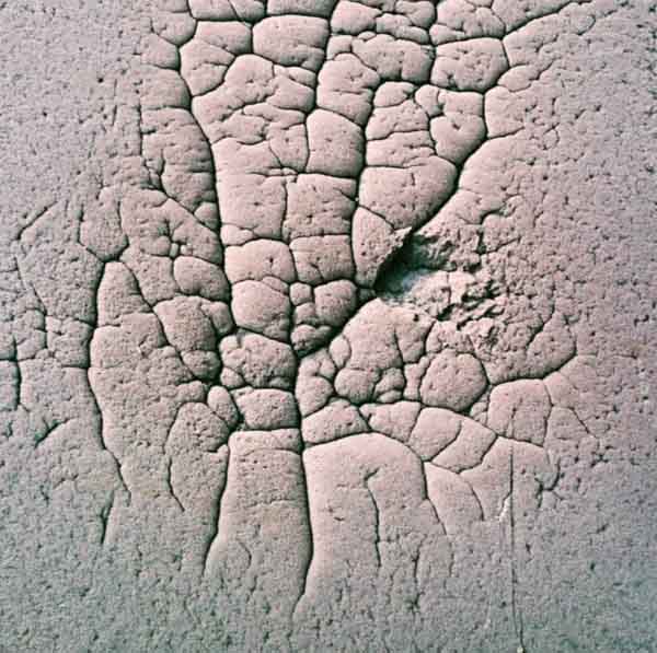 The Human Brain Is Hardwired To Snap, Leading To Sudden Fits Of Rage!
