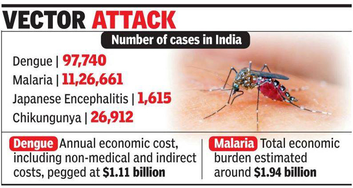 India Spends Over 17640 Crore On Dengue And Malaria Every Year