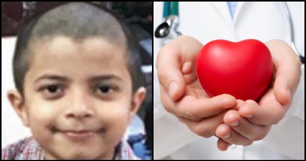 7-year-old donates organs