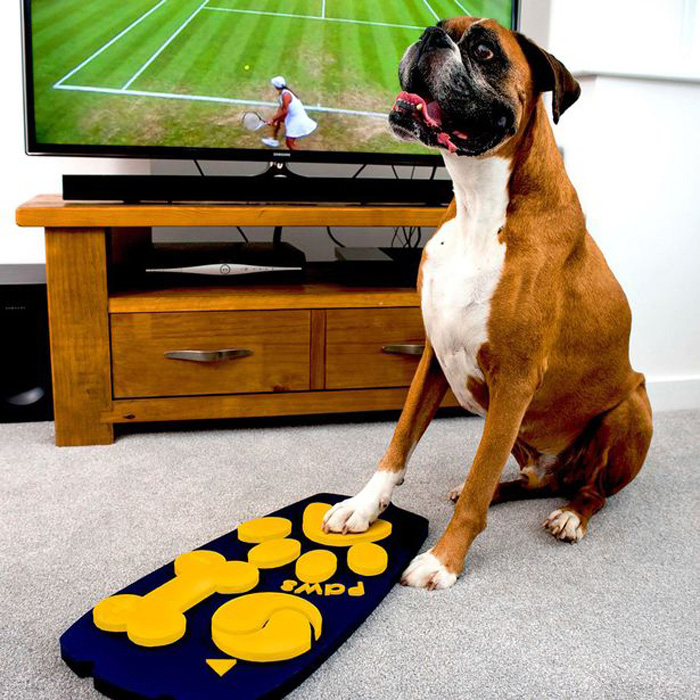 Dog Can Flip Through Channels on Television