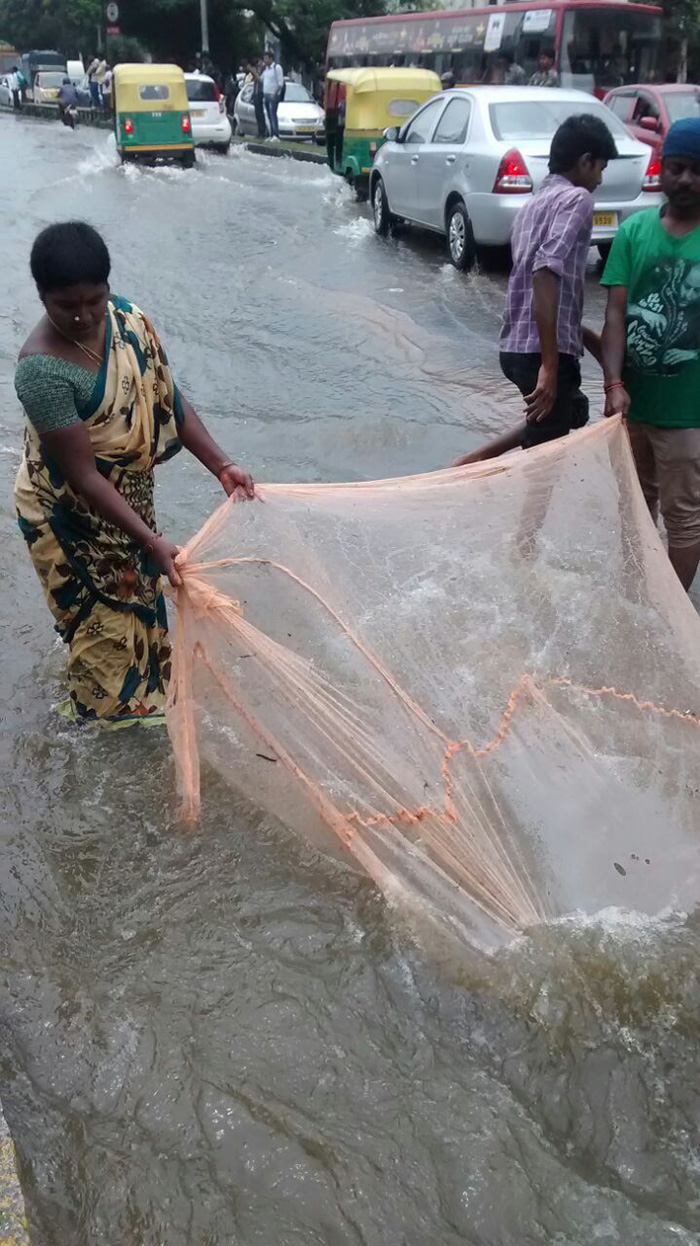 Bengaluru Flood