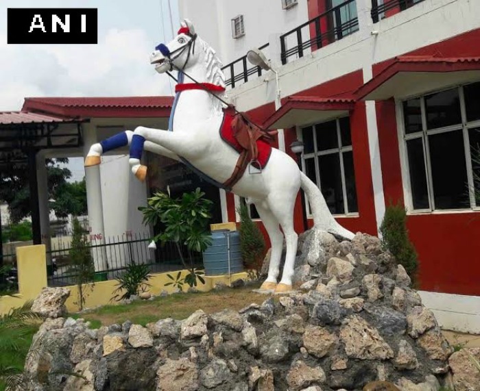 Uttarakhand Police Horse Shaktiman's Statue 'Goes Missing' Four Days