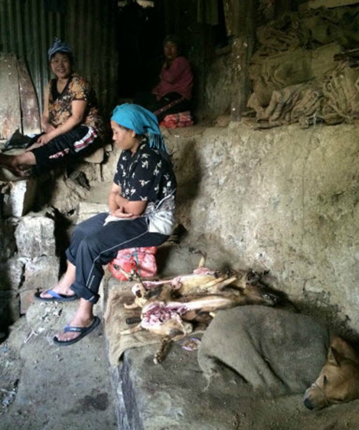 Nagaland Dog Meat Trade 