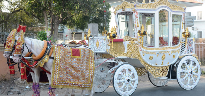 AC horse carriage