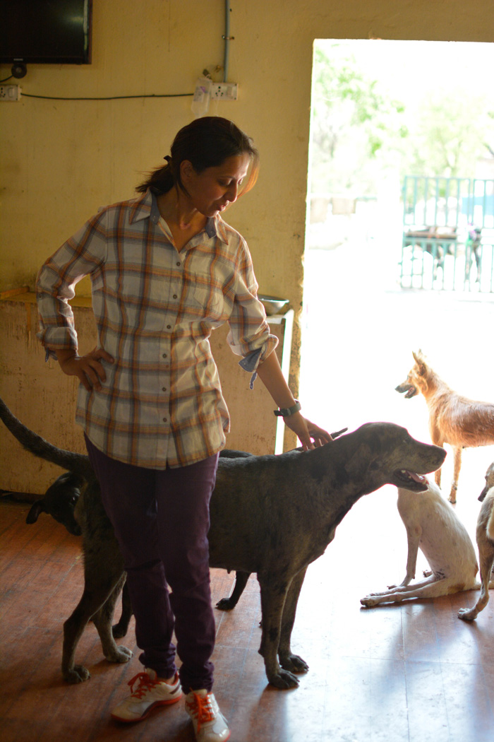 Meet Sapna Chaurasia - The Lady Who's Spending All She Has To Save Dogs  From The Streets