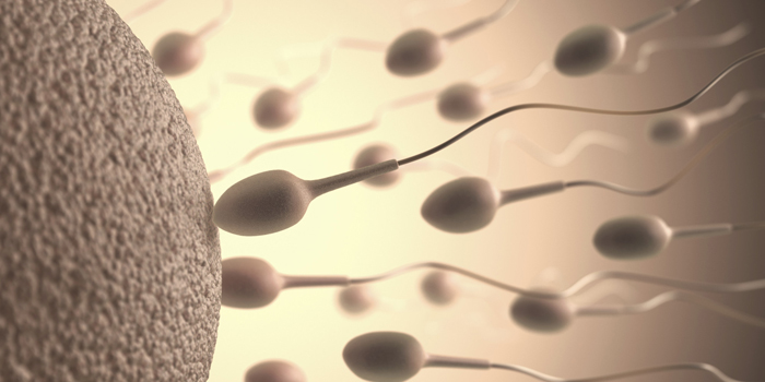 Call For Men In China To Donate Sperm For Country