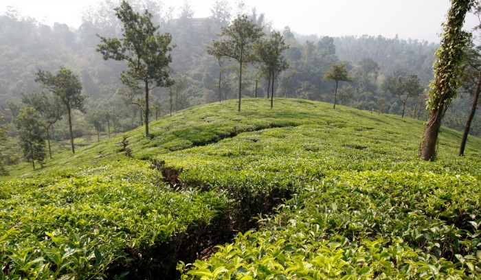 This Village In Kerala Has Decided To Get Future Ready And Become ...