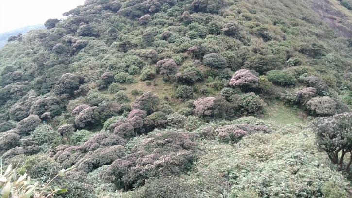 unesco-lists-india-s-agasthyamala-forests-among-world-network-of