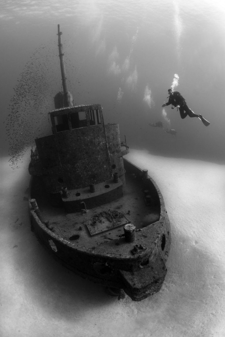 Underwater Photographer Awards