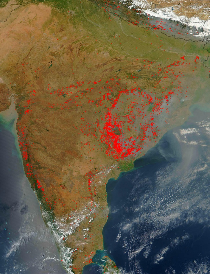 forest fires india nasa