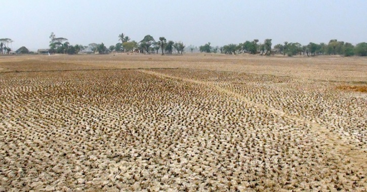 Dried farmland
