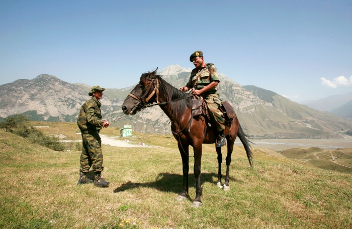 Indian Army horse