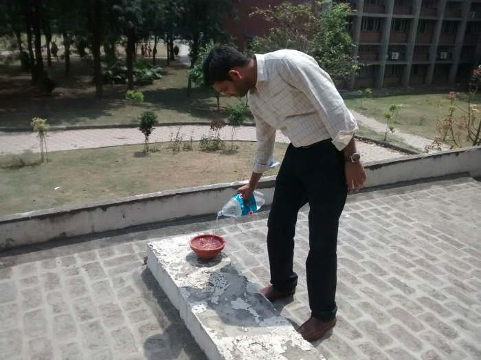 Water bowls placed for birds/animals at Punjab University