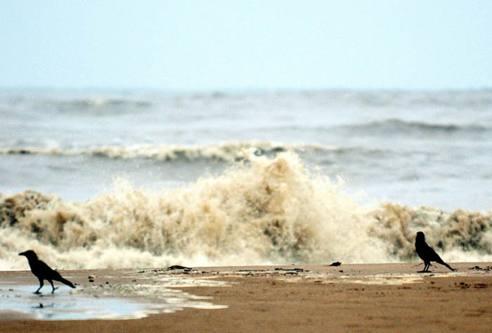 By 2015 Rising Sea Levels Could Affect 40 Million Indians 