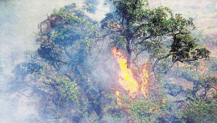 Yet Another Forest Fire Rages In Uttarakhand, And It Is Spreading Fast