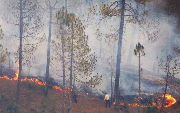 Uttrakhand Forest Fire Claims Five Lives Even As Government Steps Up Effort