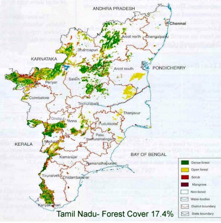 Tamil Nadu forest 