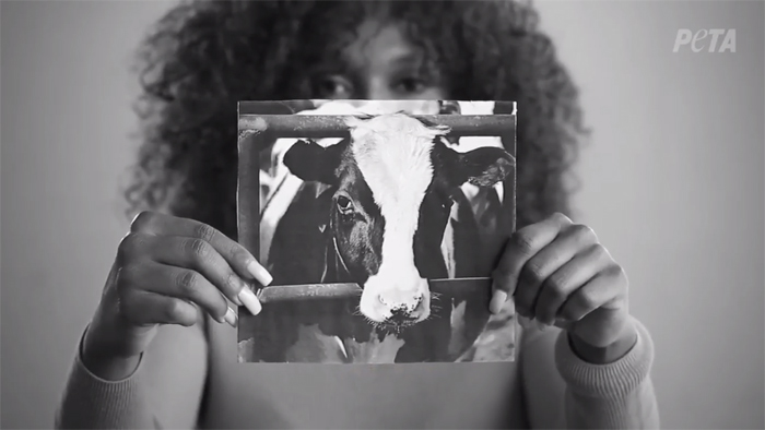 PETA Has Pissed Off The Internet By Comparing Artificial Insemination