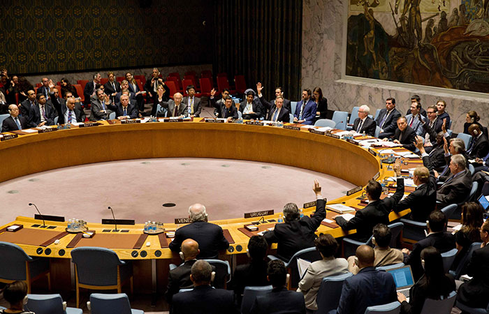 UN Security 

Council