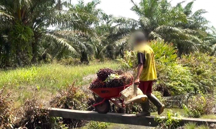 Palm oil child labour