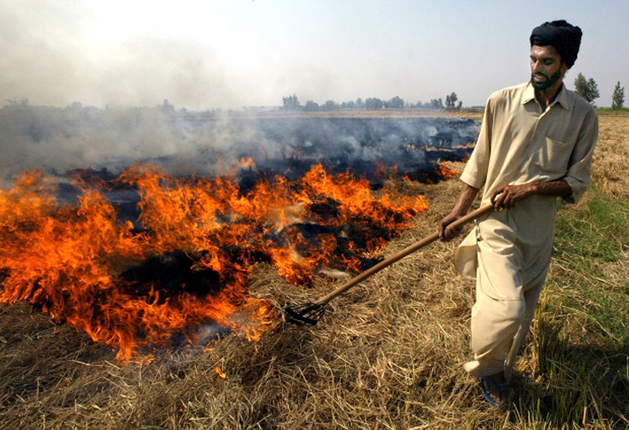 Agricultural waste burning
