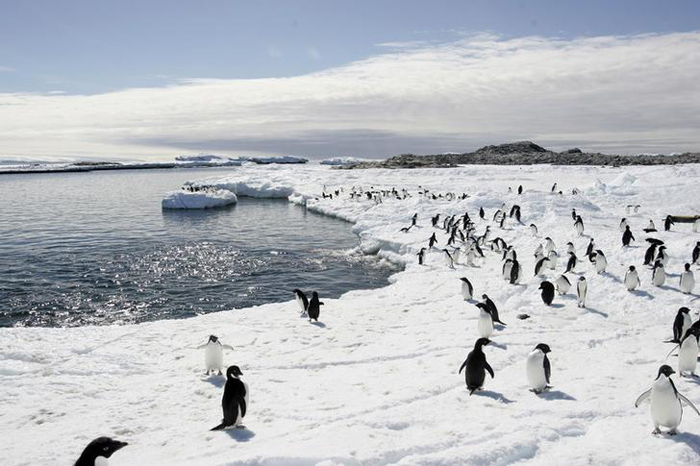 Biggest Marine Reserve In Antarctica