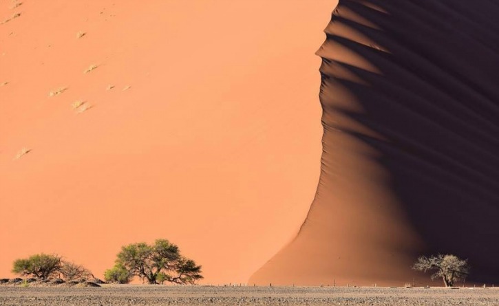 Namib Desert, southern Africa