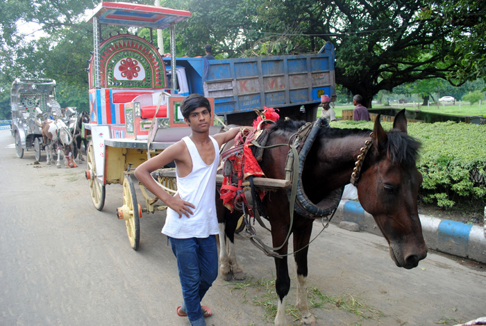 Kolkata’s Buggy Rides
