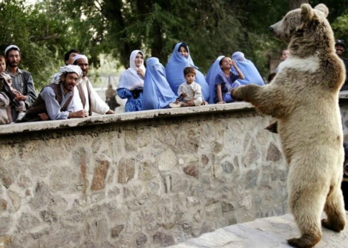 Kabul Zoo