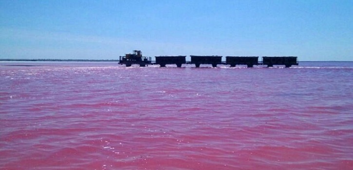 Lake Burlinskoye in Siberia turns pink every summer between August and Otcober