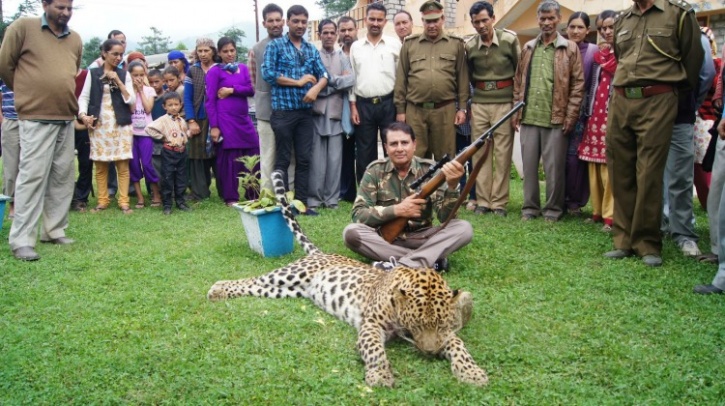 Man-eater leopard