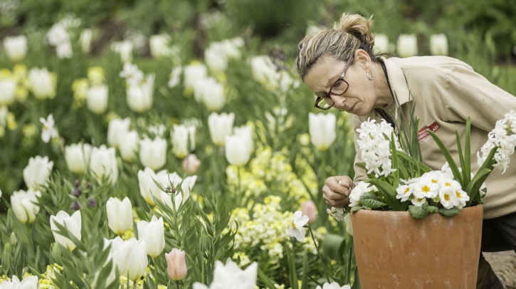 20 Years After Her Death, Princess Diana Remembered With A Memorial Garden